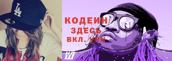 дмт Вяземский