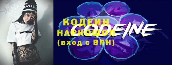 дмт Вяземский