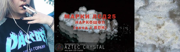 ПСИЛОЦИБИНОВЫЕ ГРИБЫ Валдай
