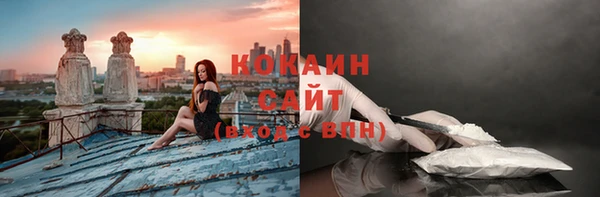 дмт Вяземский