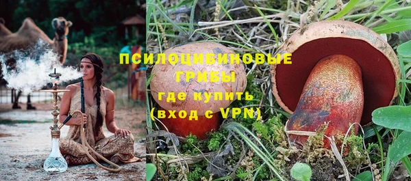 ПСИЛОЦИБИНОВЫЕ ГРИБЫ Валдай