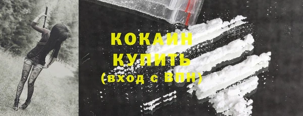 дмт Вяземский