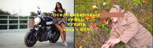 дмт Вяземский