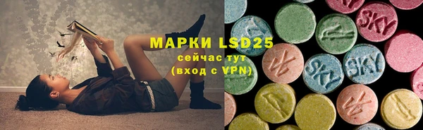 шишки Вязьма